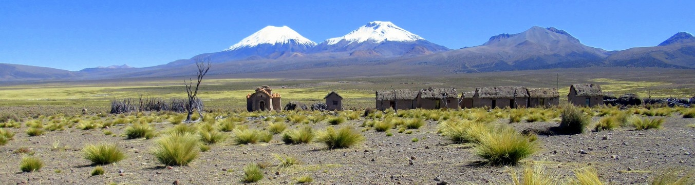 Parinacota, Bolivie